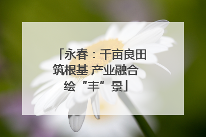 永春：千亩良田筑根基 产业融合绘“丰”景